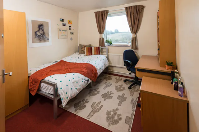 Standard 2 Bed Apartment Share room image 1
