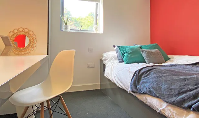 Standard Studio Plus room image 2