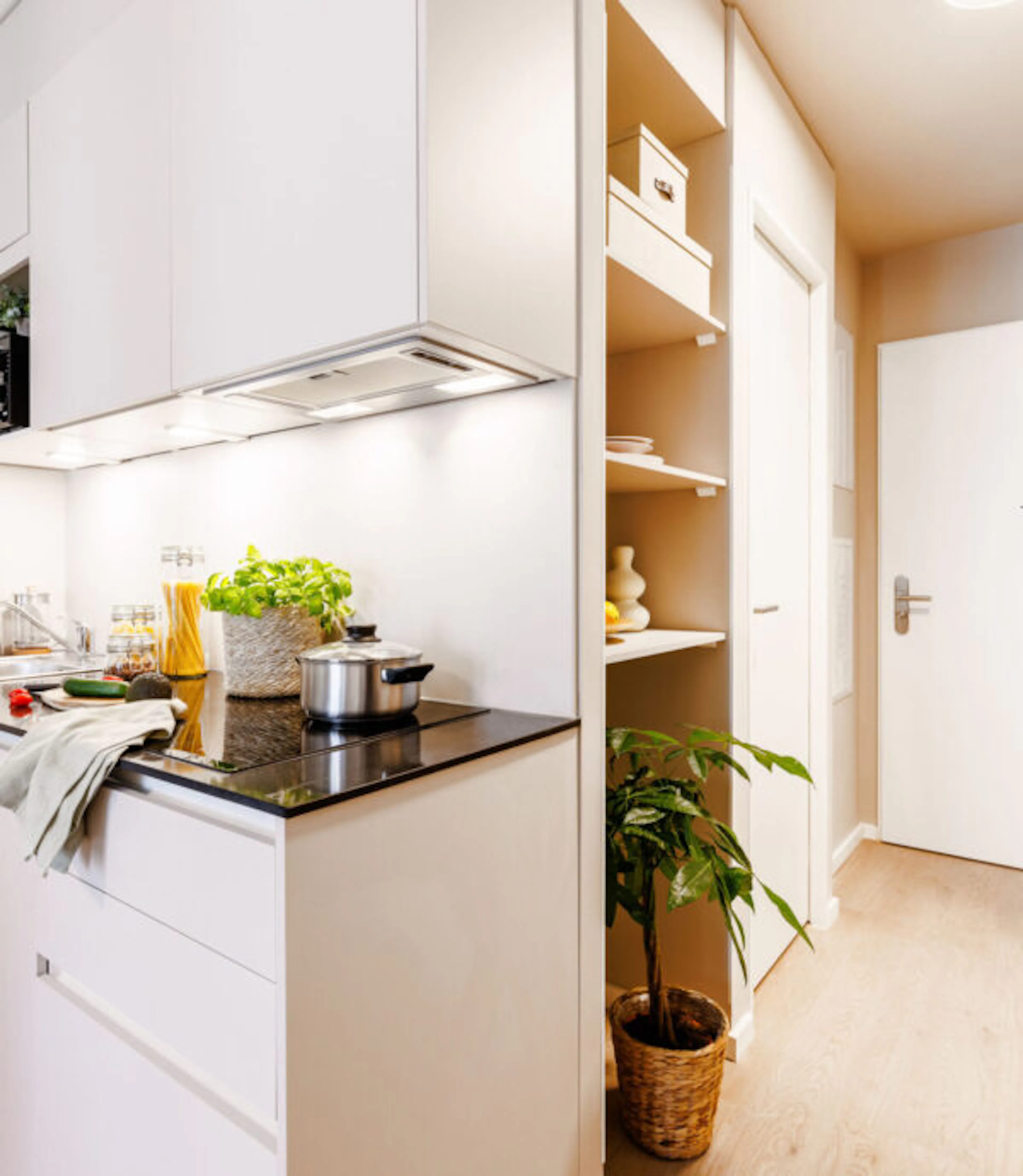 Single Studio KITCHEN 1