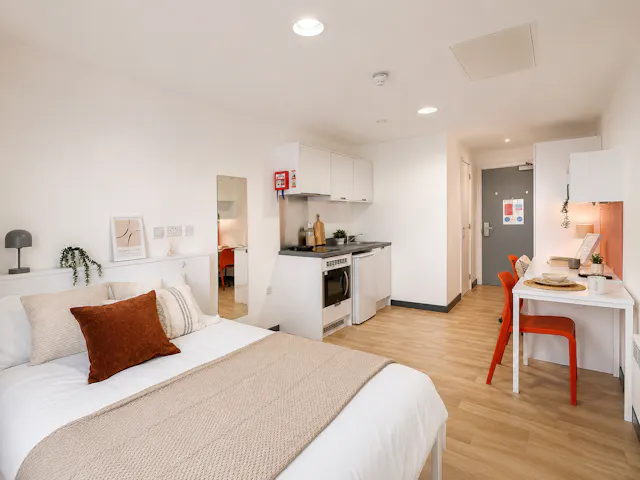 Premium Studio room image 1