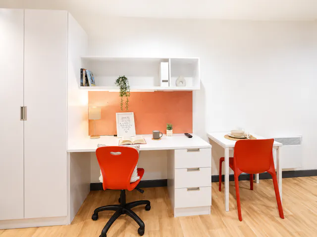 Premium Studio room image 3