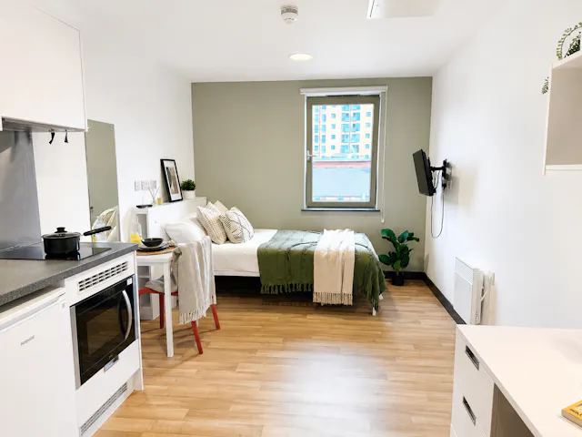 Luxury Studio room image 1