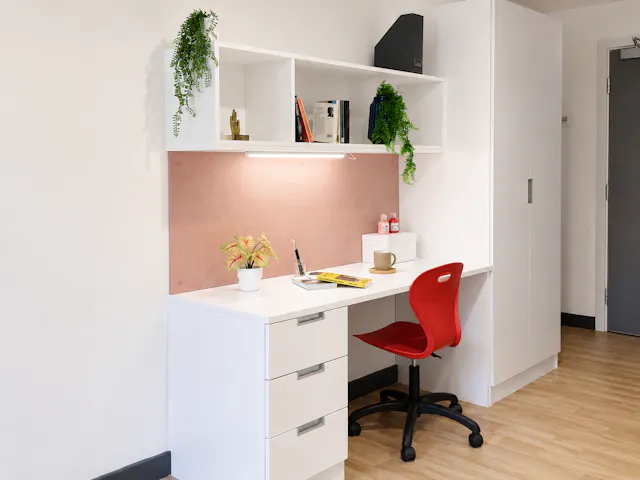 Luxury Studio room image 3