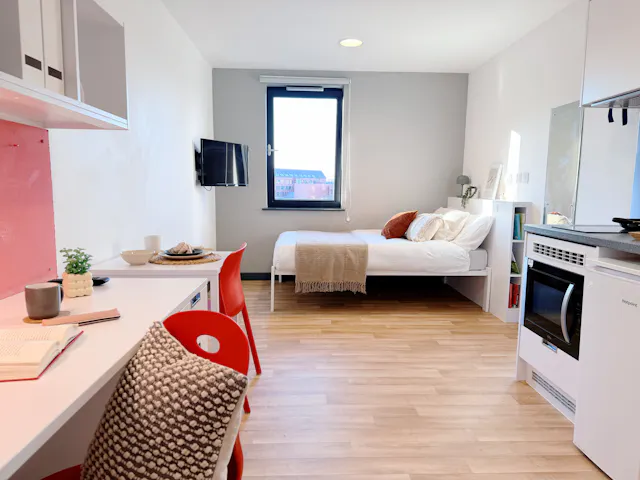 Premium Studio room image 2