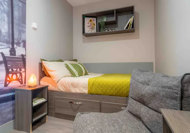 Bronze Studio Plus room image 1