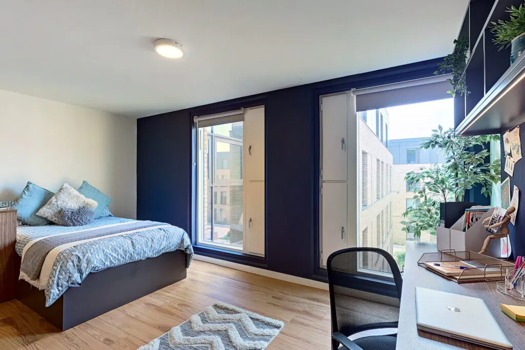 Luxury Plus Studio
