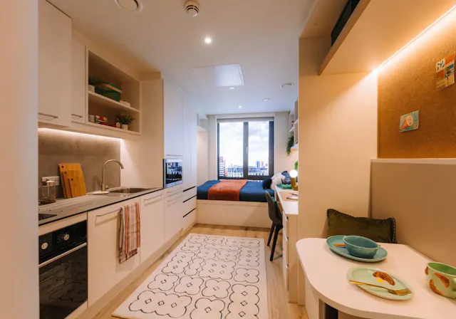 Platinum Studio Deluxe room image 1