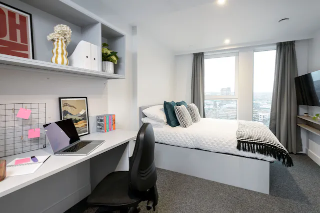true Deluxe Studio room image 2