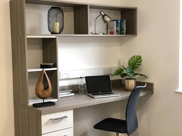 Premier Studio room image 2