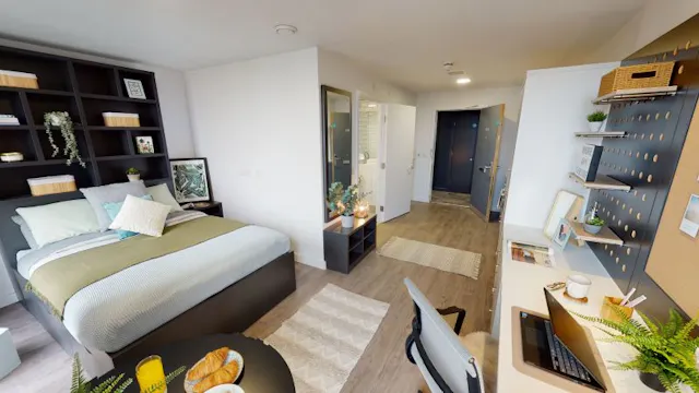 Platinum Studio Plus room image 2