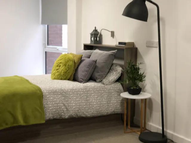 Penthouse Studio room image 2