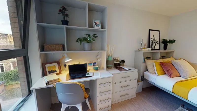 Gold Studio