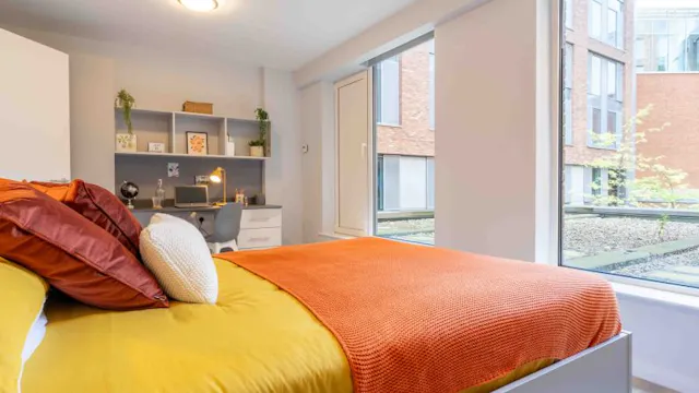 Bronze One Bed Apartment Plus room image 2