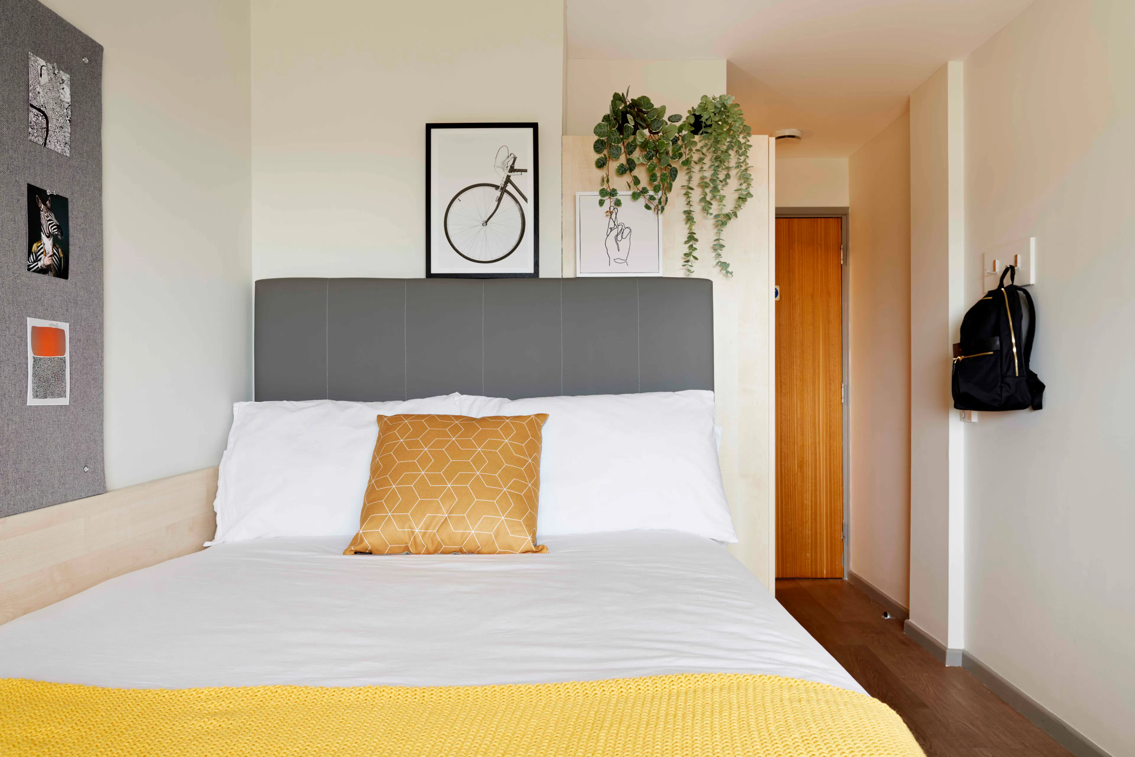 ROOM ROOM 1