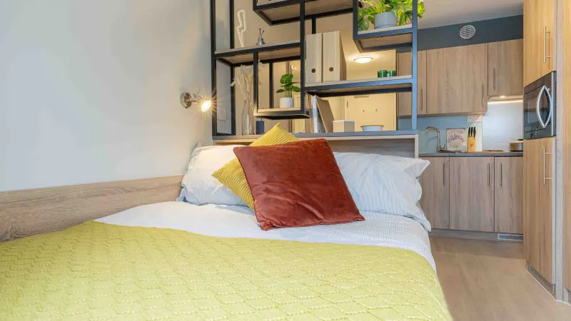 Bronze Studio Plus ROOM 1