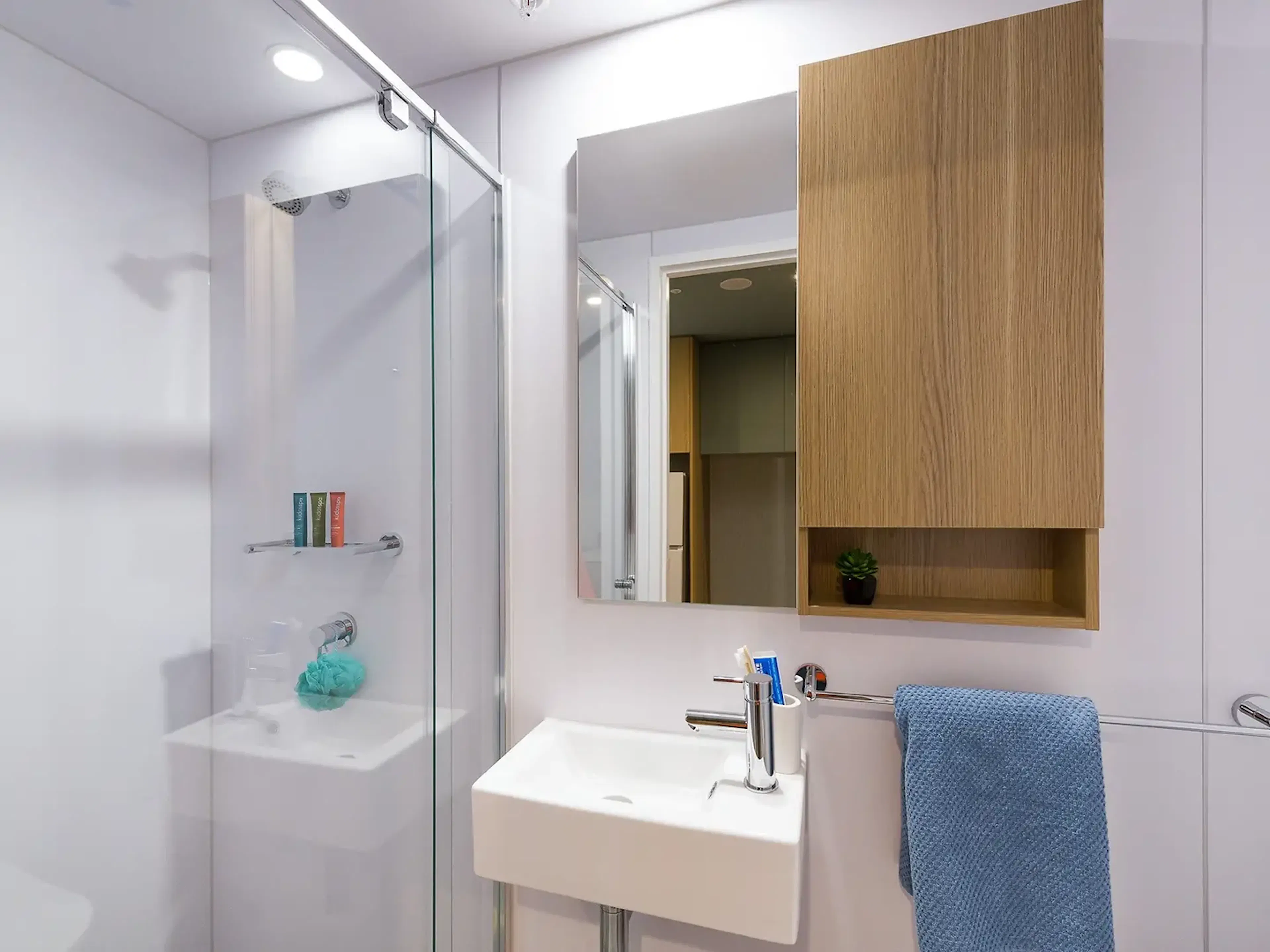 2 Bedroom Shared Apartment BATHROOM 4