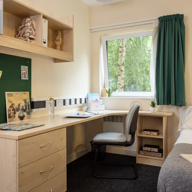 Standard Plus Ensuite room image 2