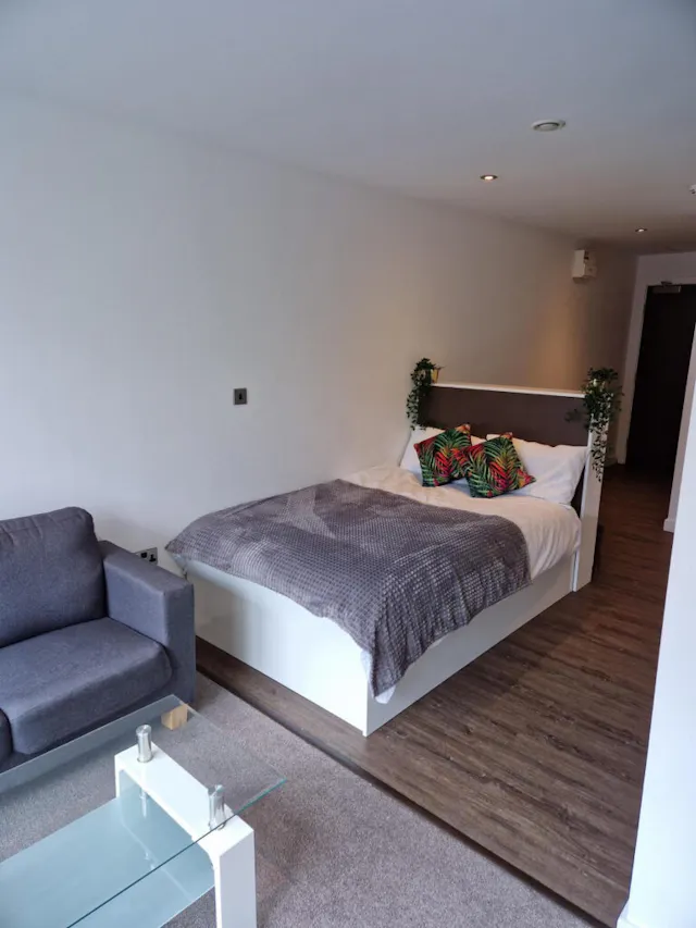 Deluxe Studio room image 1