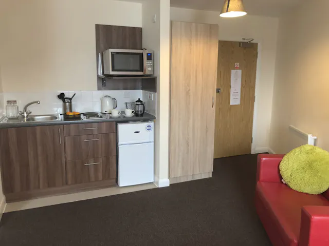 Premier Luxe Studio room image 2