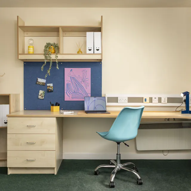 Bronze Plus En-Suite room image 2