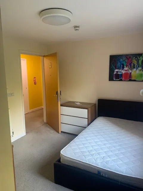 Deluxe En-Suite Behn Hall room image 2