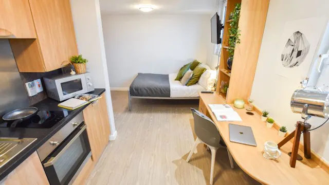 Silver Studio Plus room image 2