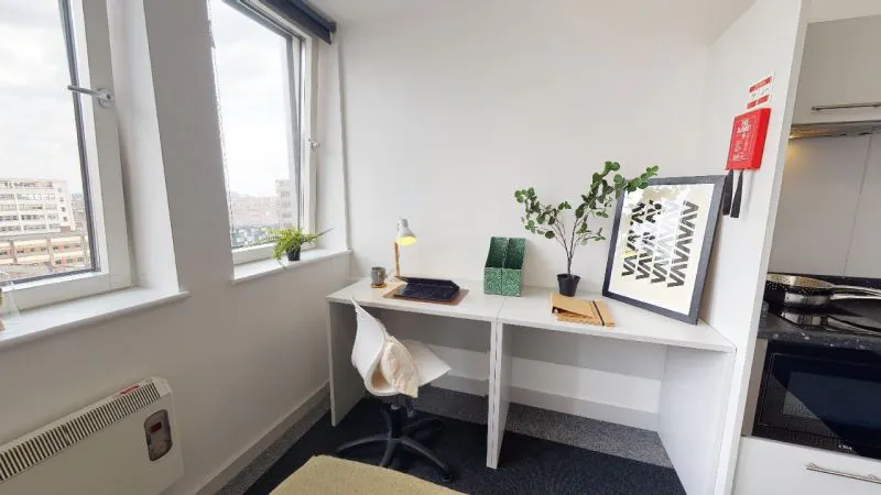 Bronze Studio Plus