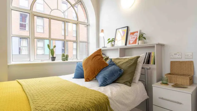 Platinum Studio Plus room image 2