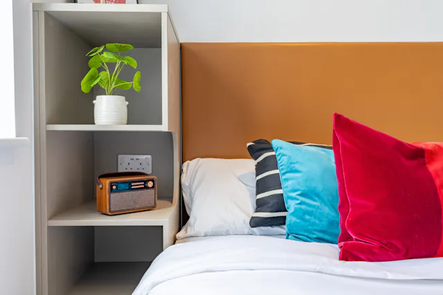 true Sky Studio Plus room image 2