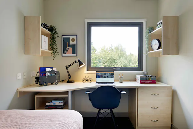Bronze Ensuite room image 2