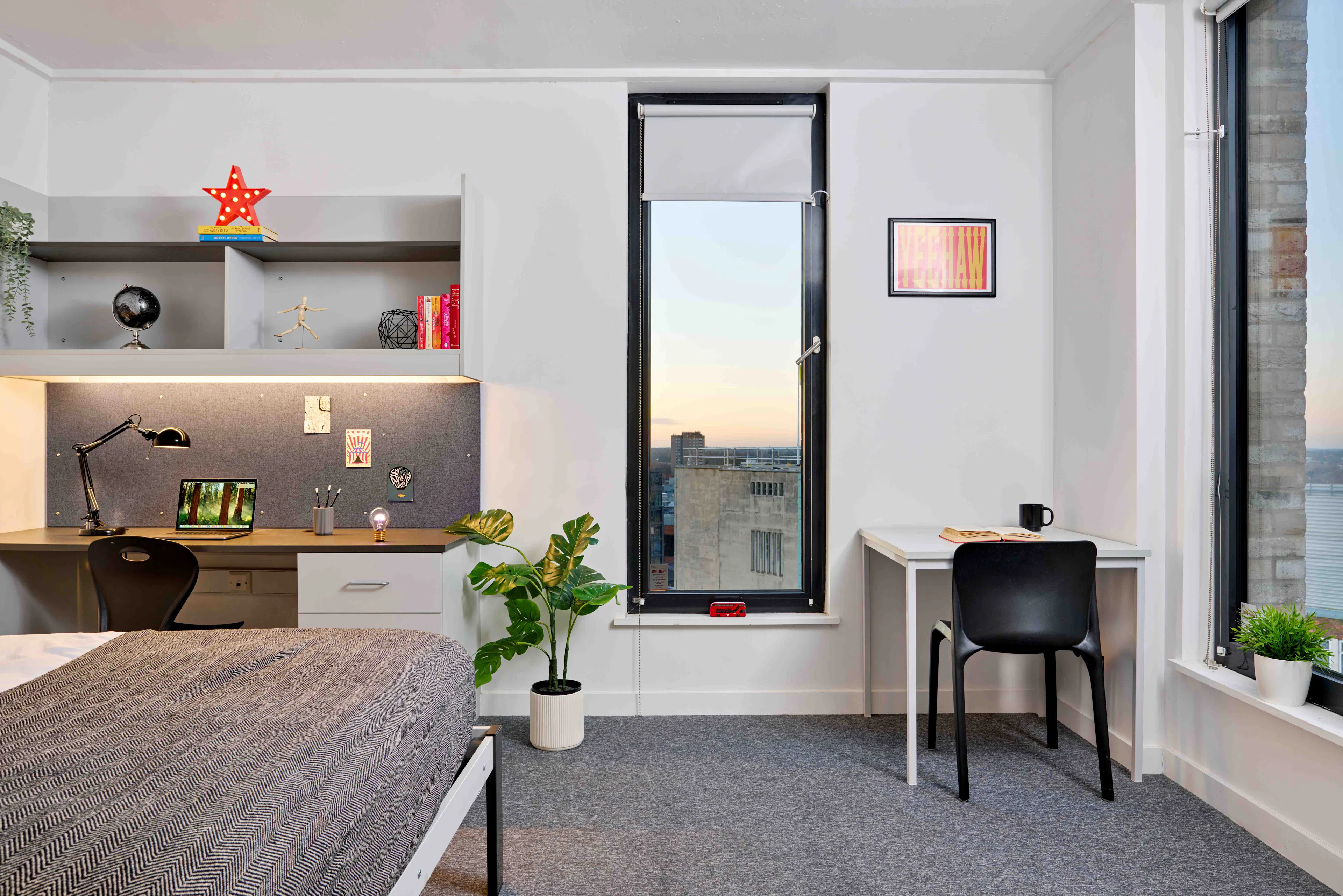 ROOM ROOM 1