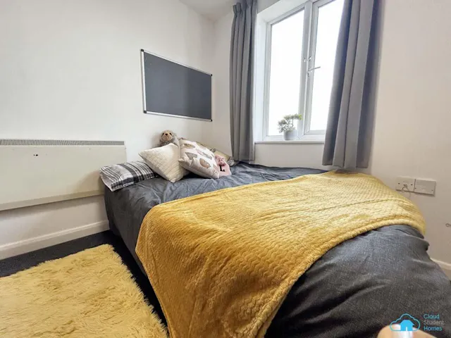 Deluxe En-suite Sedgemoor House room image 2