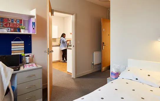 1 Bedroom Flat room image 1
