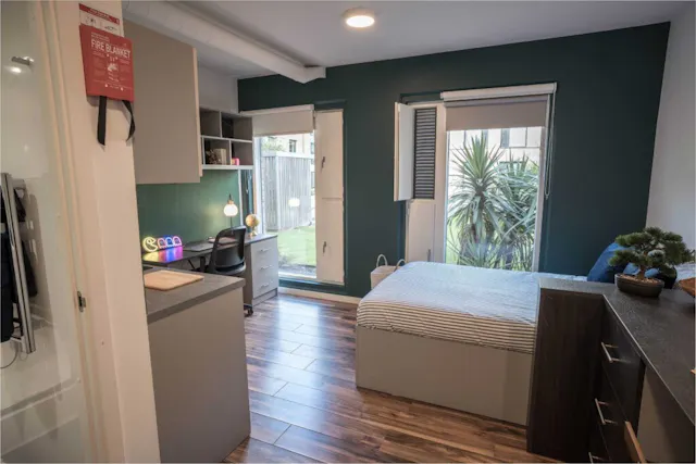Premium Plus Studio room image 2