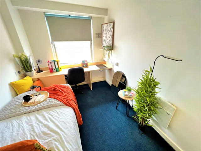 Classic Studio room image 2