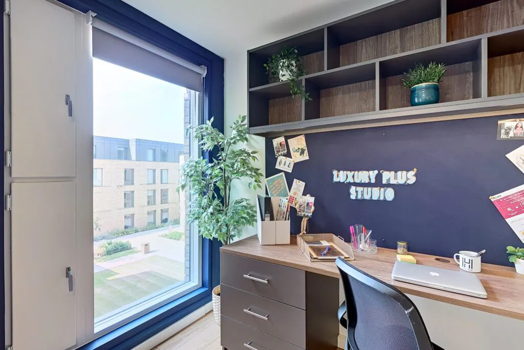 Luxury Adaptable Studio