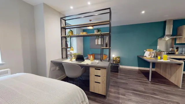 Platinum Studio Plus room image 2