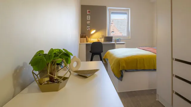 Penthouse One Bed room image 2