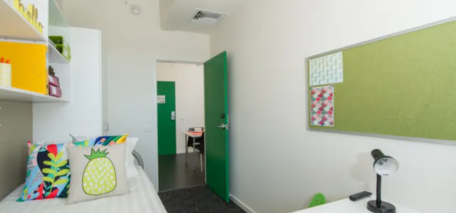 2 Bedroom Studio Apartment room image 2