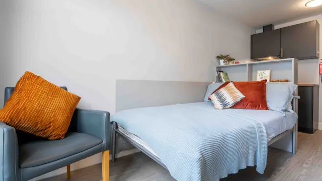 Bronze Studio Plus room image 2