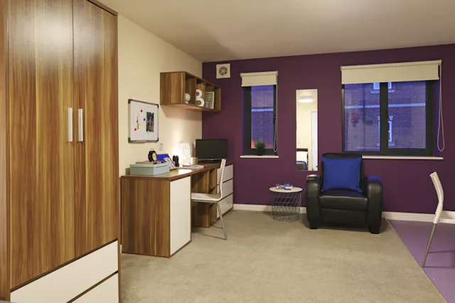 Premier Luxe Studio, Tallis Court room image 2
