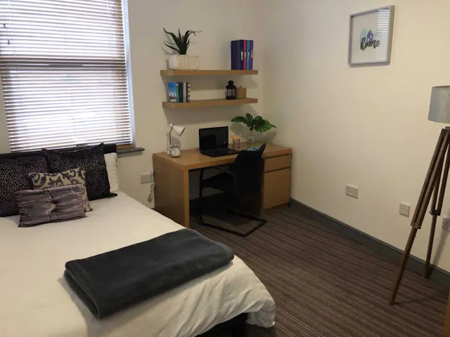 Deluxe room image 2