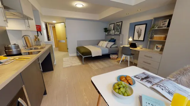 Platinum Studio  room image 2