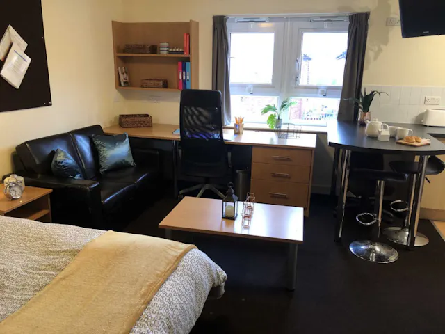 Deluxe Studio room image 2