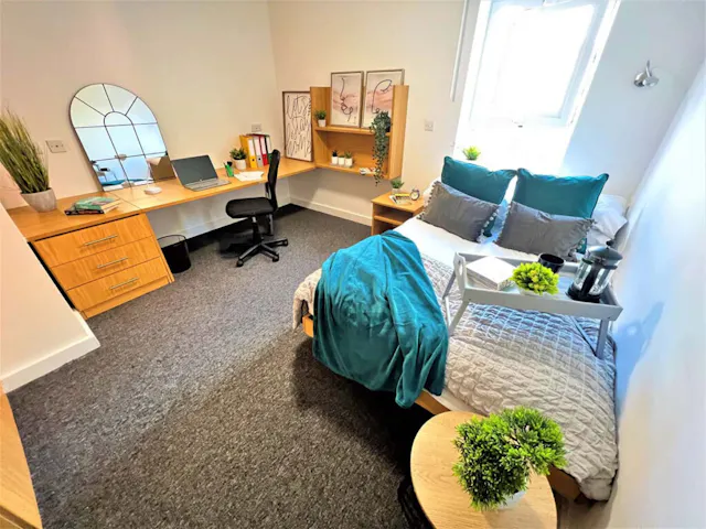 Premier Plus room image 2