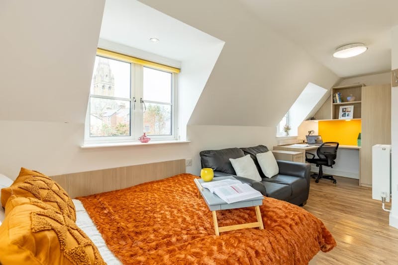 Platinum Studio Plus