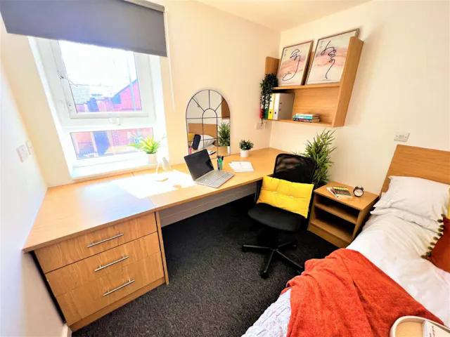 Deluxe Plus room image 2