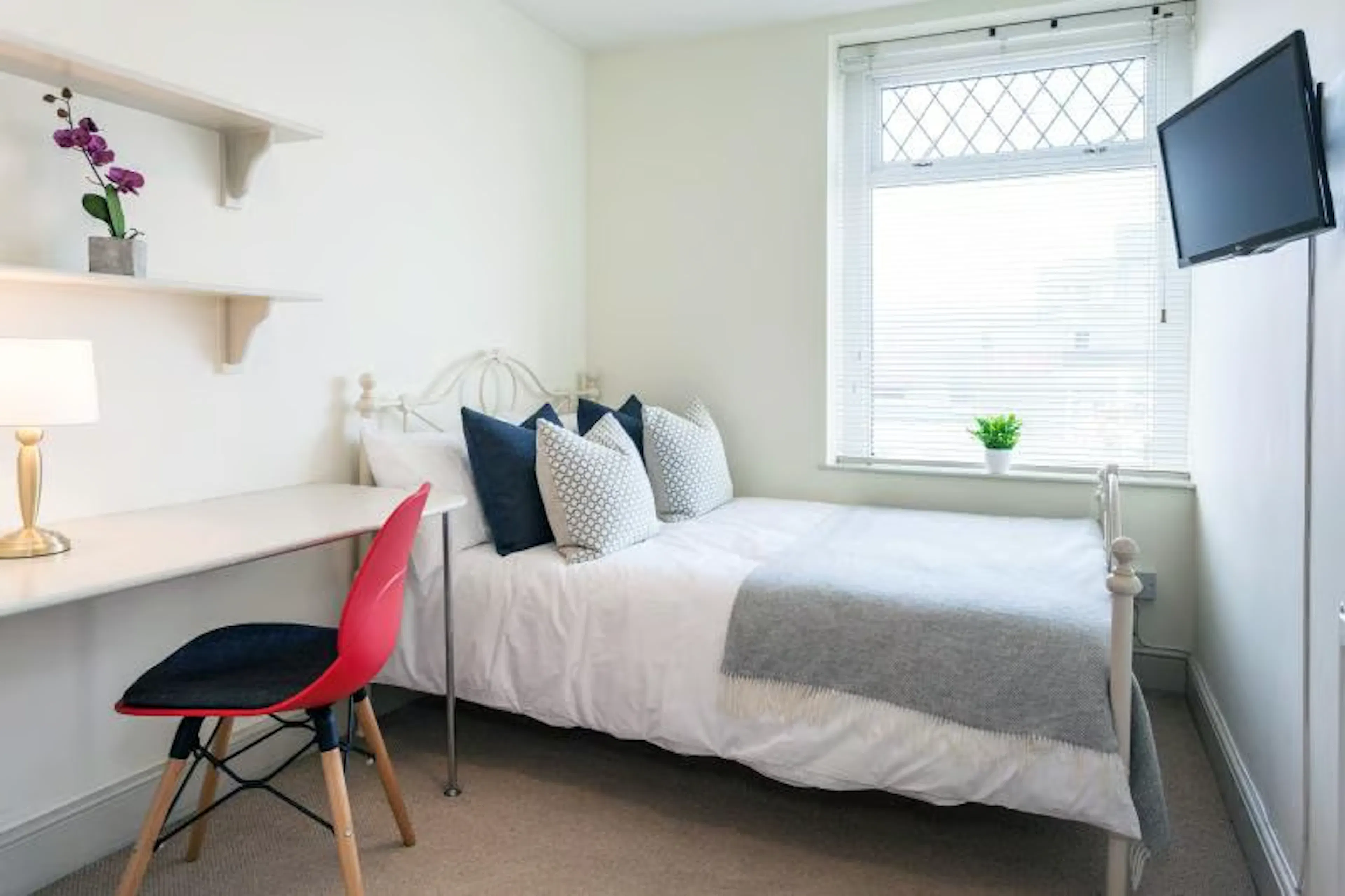 7 Bedroom Apartment ROOM 4