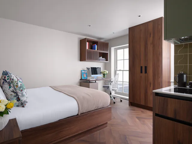 Deluxe Studio Plus room image 1