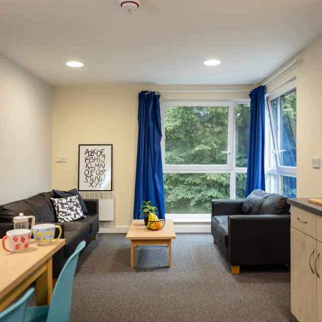 Standard Plus room image 3